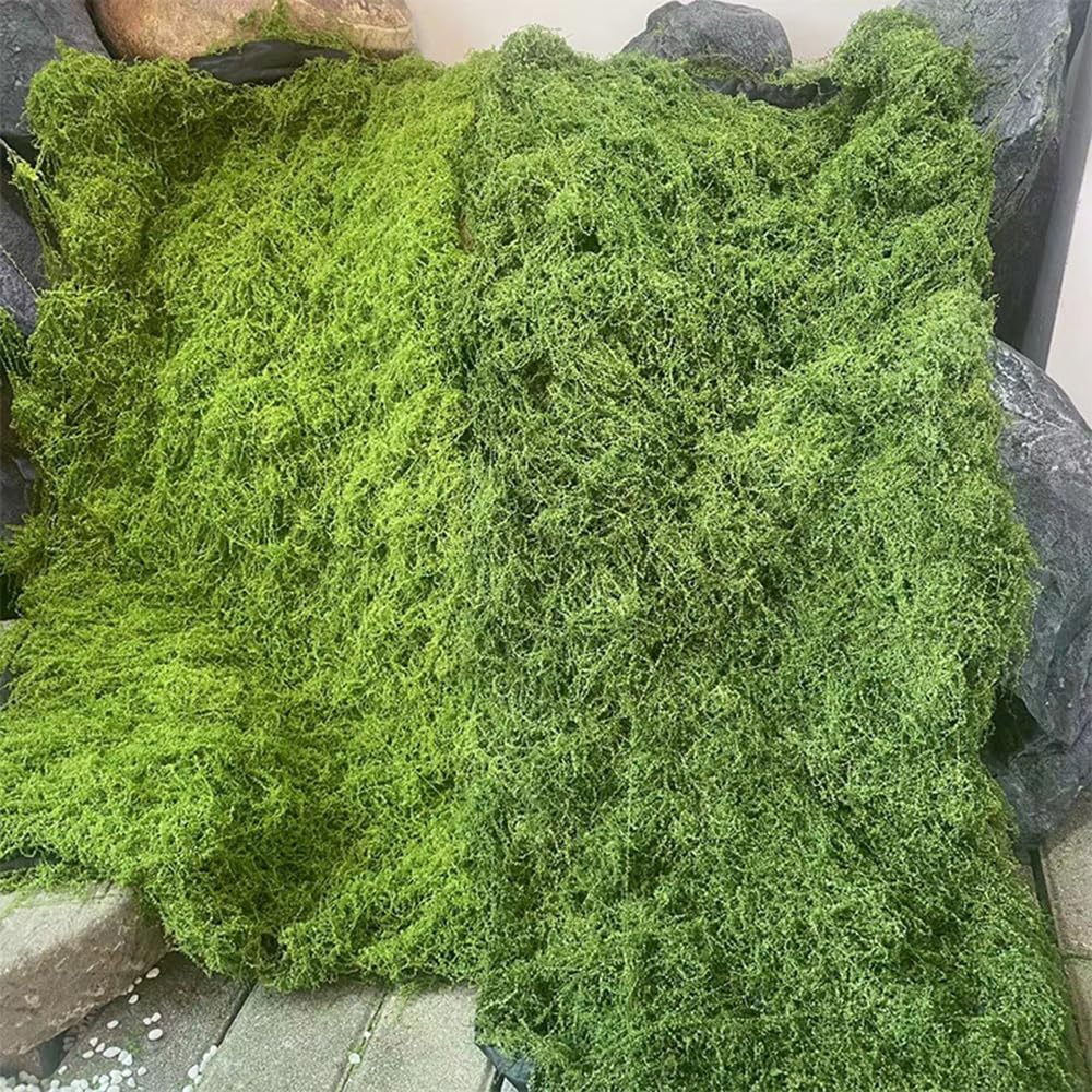 Artificial Preserved Moss Mat  - مراجعة Preserved Moss Sheet وسعره