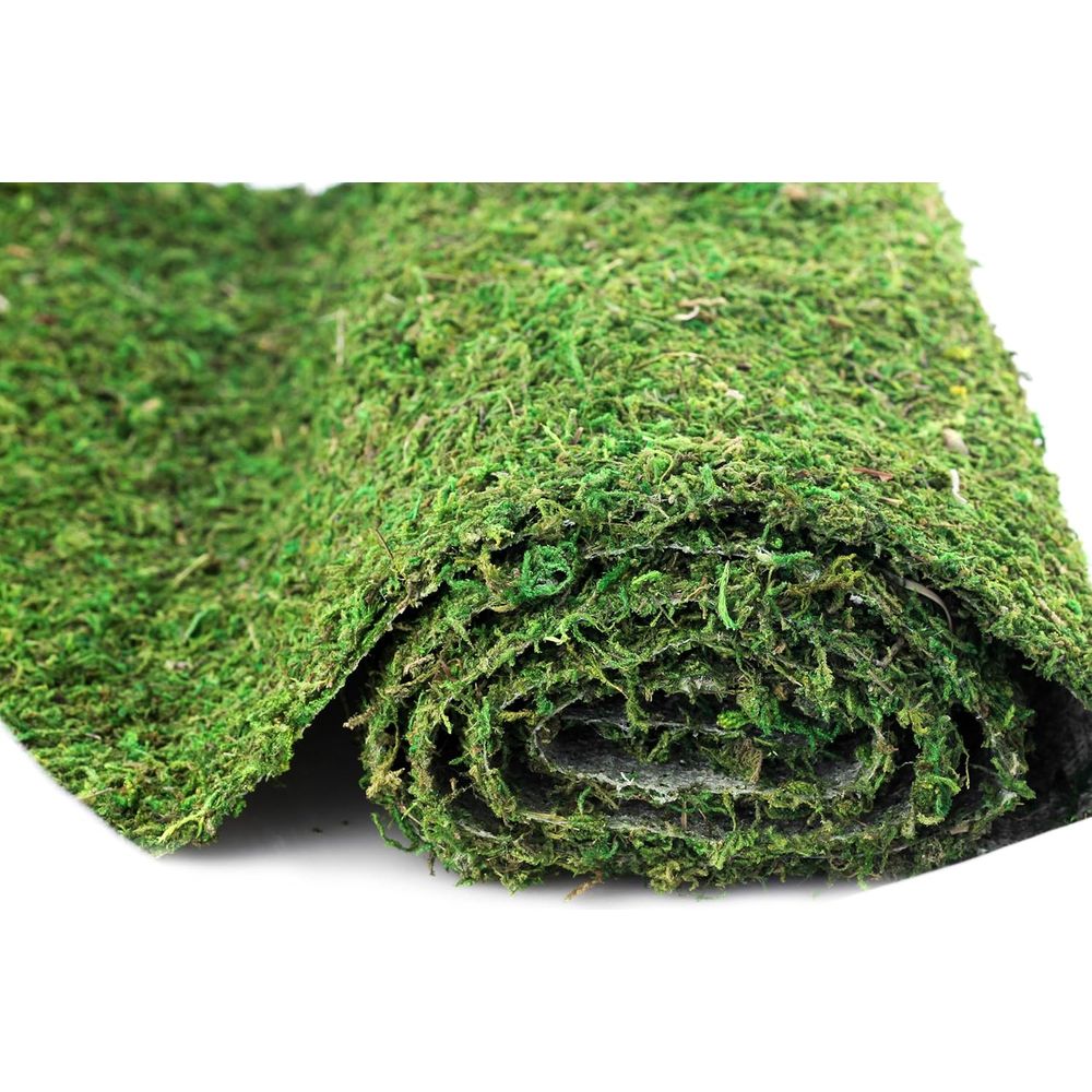 Preserved Moss Sheet - 3ft x 2 - مراجعة Preserved Moss Sheet وسعره